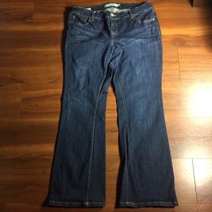Torrid Jeans